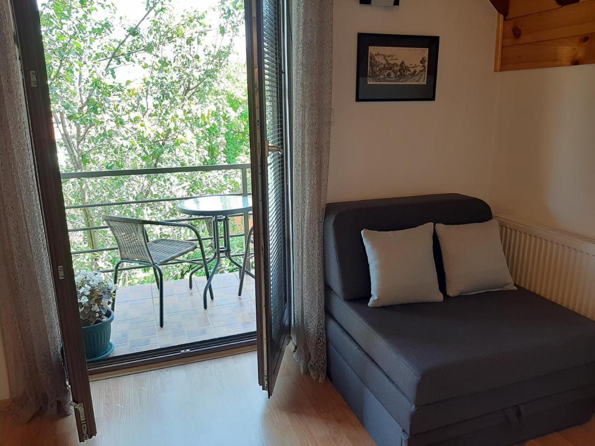 Apartmani Ogi I Ana Bajina Basta Esterno foto