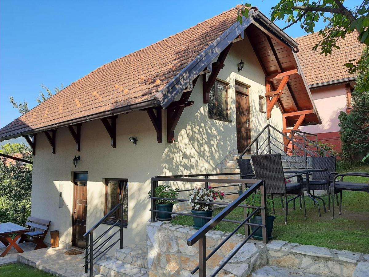 Apartmani Ogi I Ana Bajina Basta Esterno foto