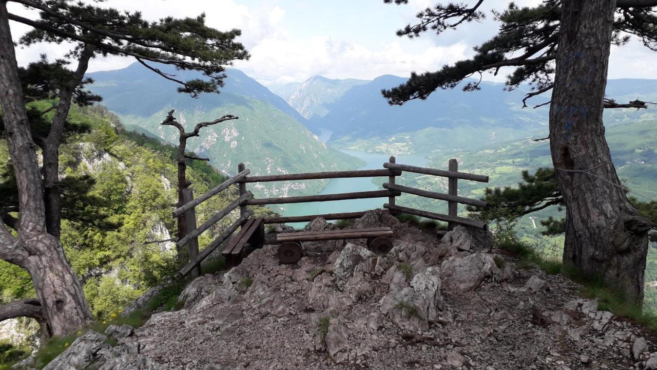 Apartmani Ogi I Ana Bajina Basta Esterno foto