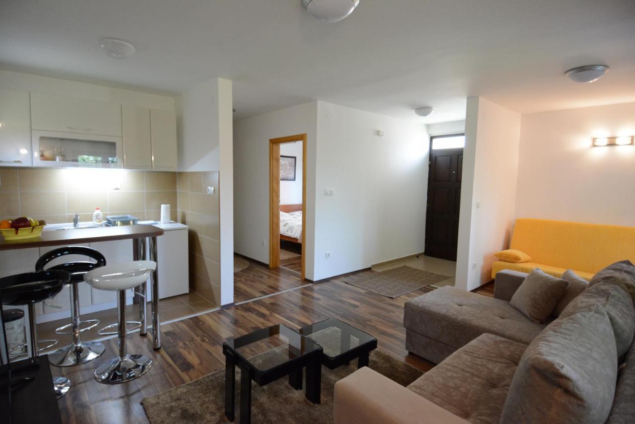 Apartmani Ogi I Ana Bajina Basta Esterno foto